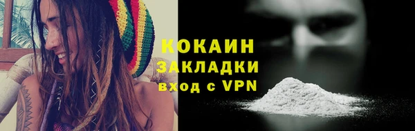 сатива Гусь-Хрустальный