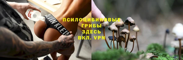 jwh Гусиноозёрск
