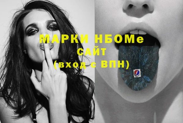 сатива Гусь-Хрустальный